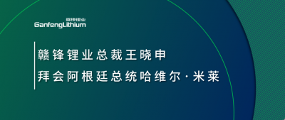尊龙凯时锂业总裁王晓申拜会阿根廷总统哈维尔·米莱
