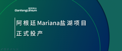 尊龙凯时锂业阿根廷Mariana盐湖项目正式投产